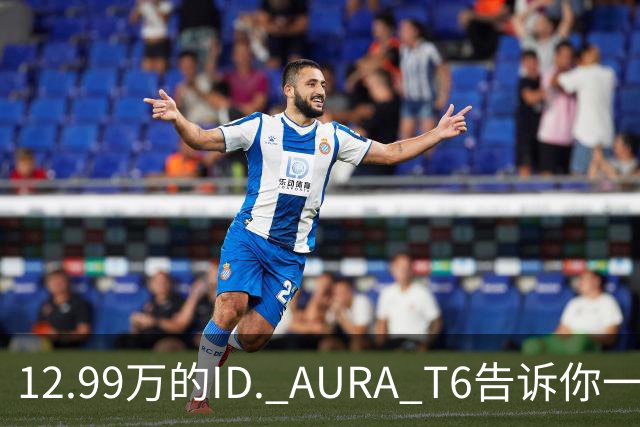 12.99万的ID. AURA T6告诉你一分钱能买两分货